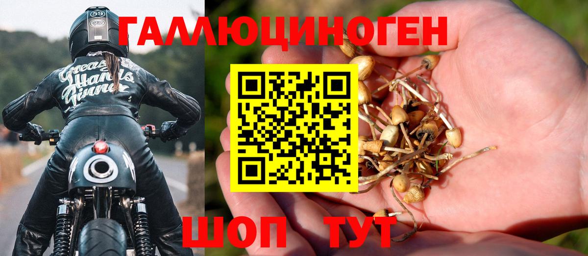 Галлюциногенные грибы прущие грибы Клин