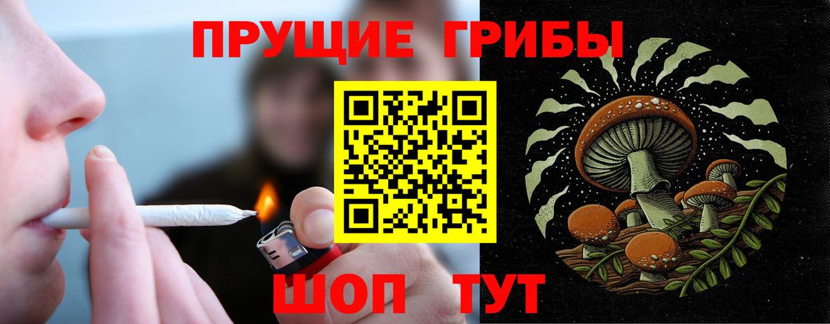 Клин  Псилоцибиновые грибы мицелий  Псилоцибиновые грибы Psilocybe  Вход с VPN 